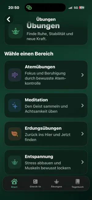 MentisAnchora screenshot 3