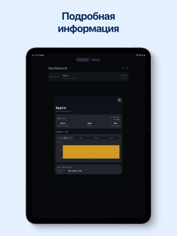 Белка ВПН + iPad screenshot 6