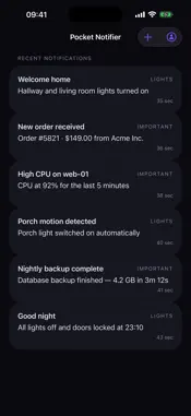 Pocket Notifier screenshot 1