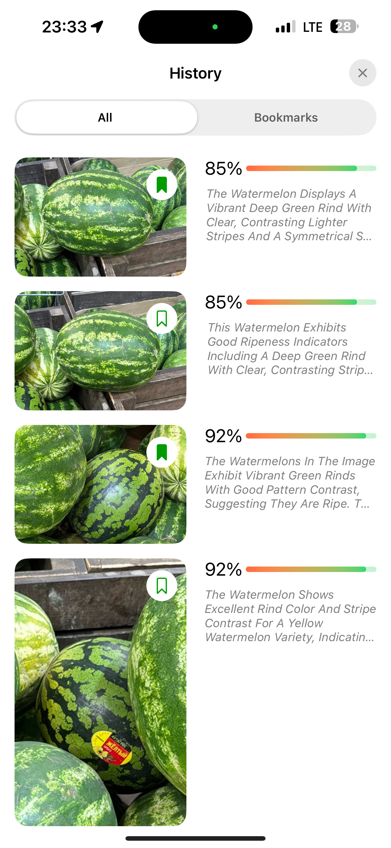 RipeMelon: Watermelon Analyzer
