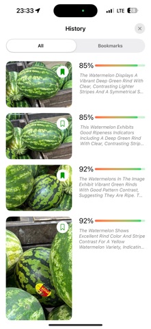 RipeMelon: Watermelon Analyzer screenshot