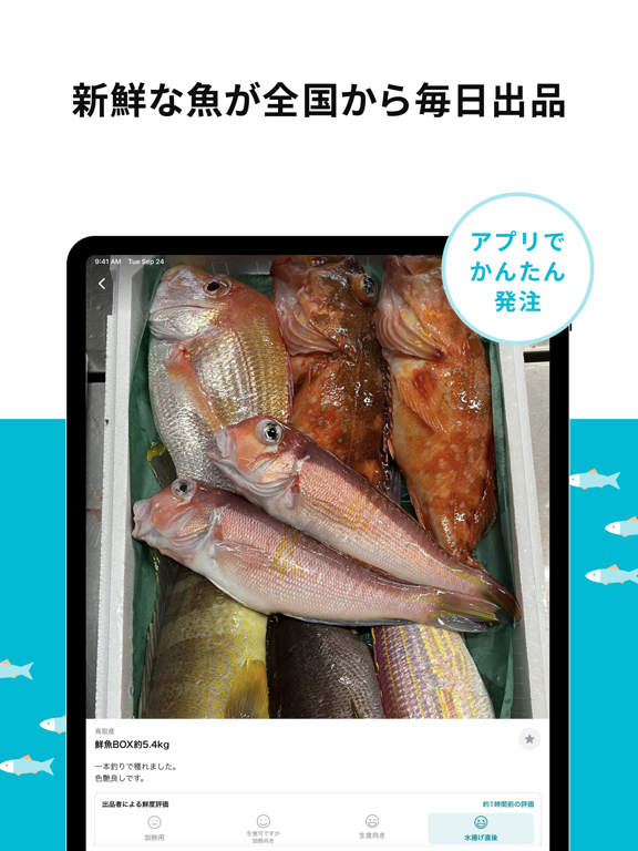 Screenshot #5 pour UUUO - 業務用鮮魚仕入れアプリ