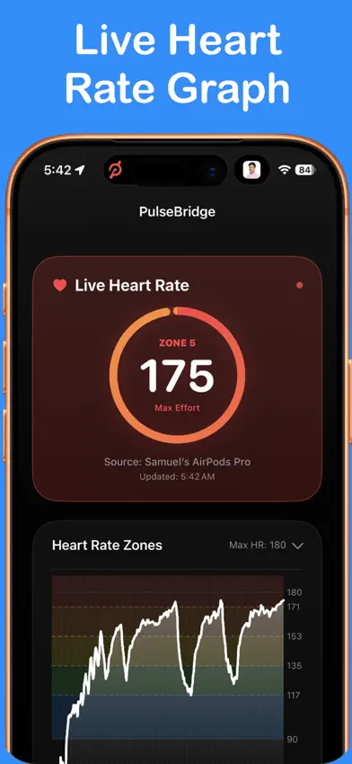 PulseBridge screenshot 2