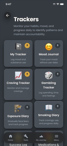 Your Journey Your Tools screenshot