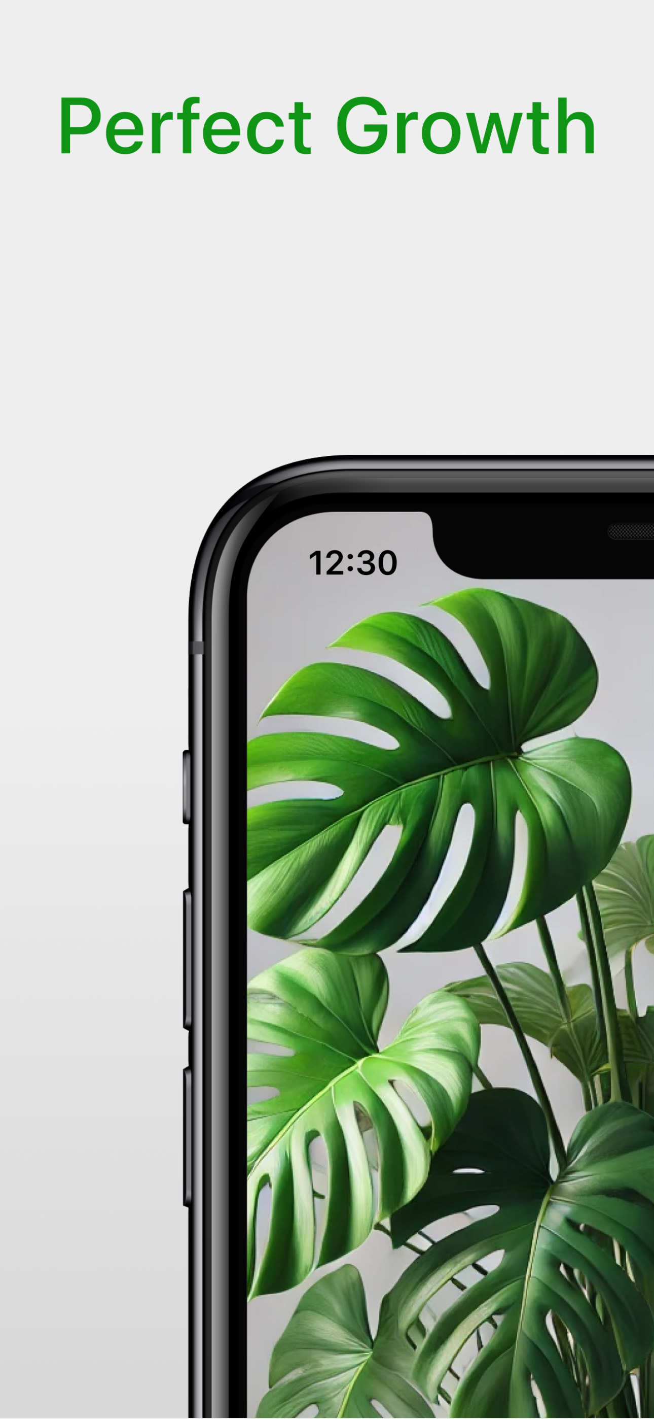 Planture・Plant Identifier Care