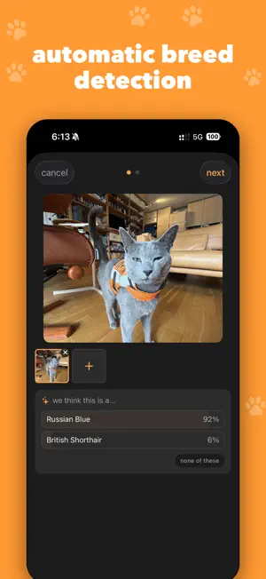 catch (cat tracker) screenshot 3