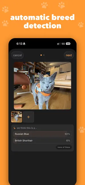 catch (cat tracker) iPhone screenshot 3