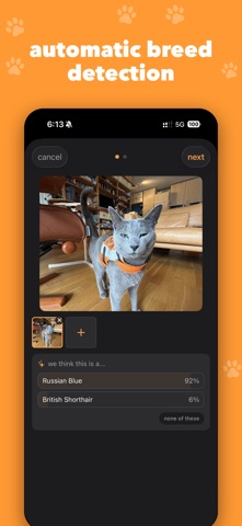 catch (cat tracker) iPhone screenshot 3
