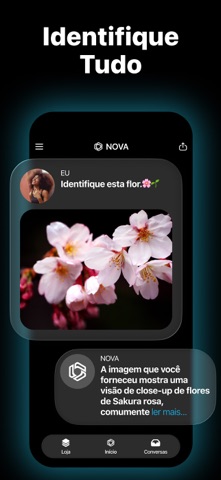 Chatbot de IA - Nova App Store preview screenshot 6