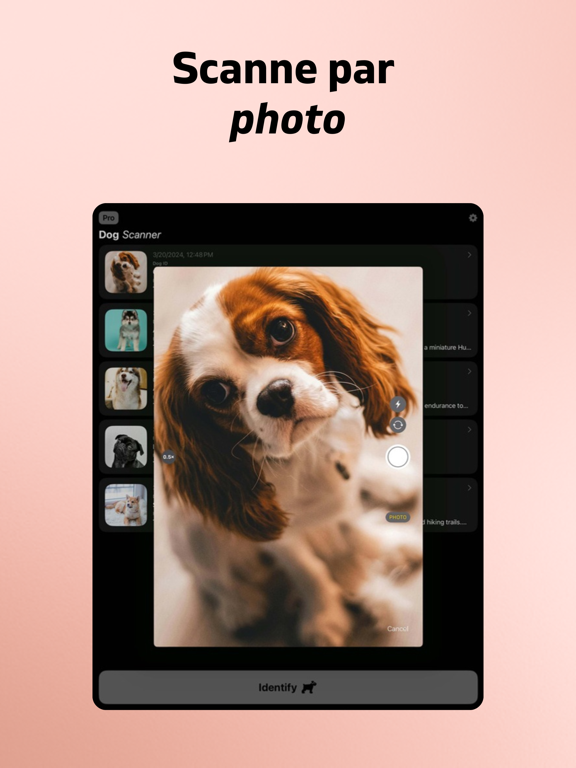 Screenshot #6 pour Identifier la Race du Chien AI