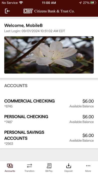 Altamaha Bank Mobile Screenshot