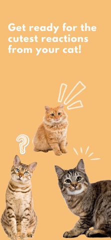 Cat Sounds screenshot
