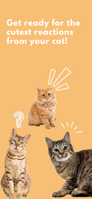 Cat Sounds Screenshot 3 of 3