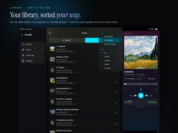 PureBit: Hi-Res Music Player iPad screenshot 3