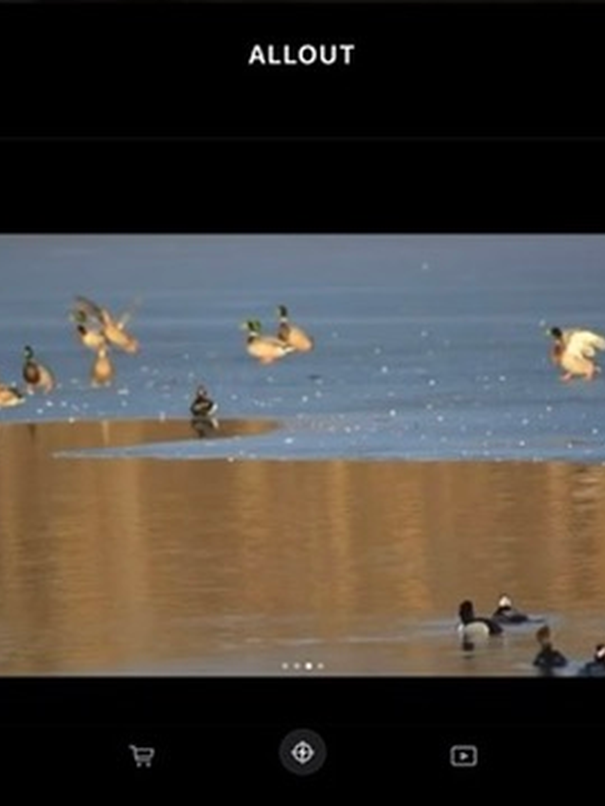 AllOut - Premier Outdoors App screenshot 12
