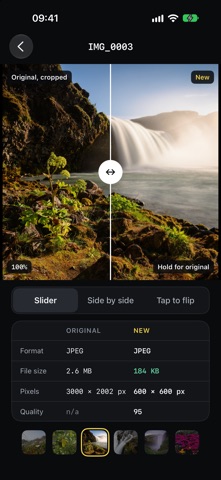 SartorX screenshot 4