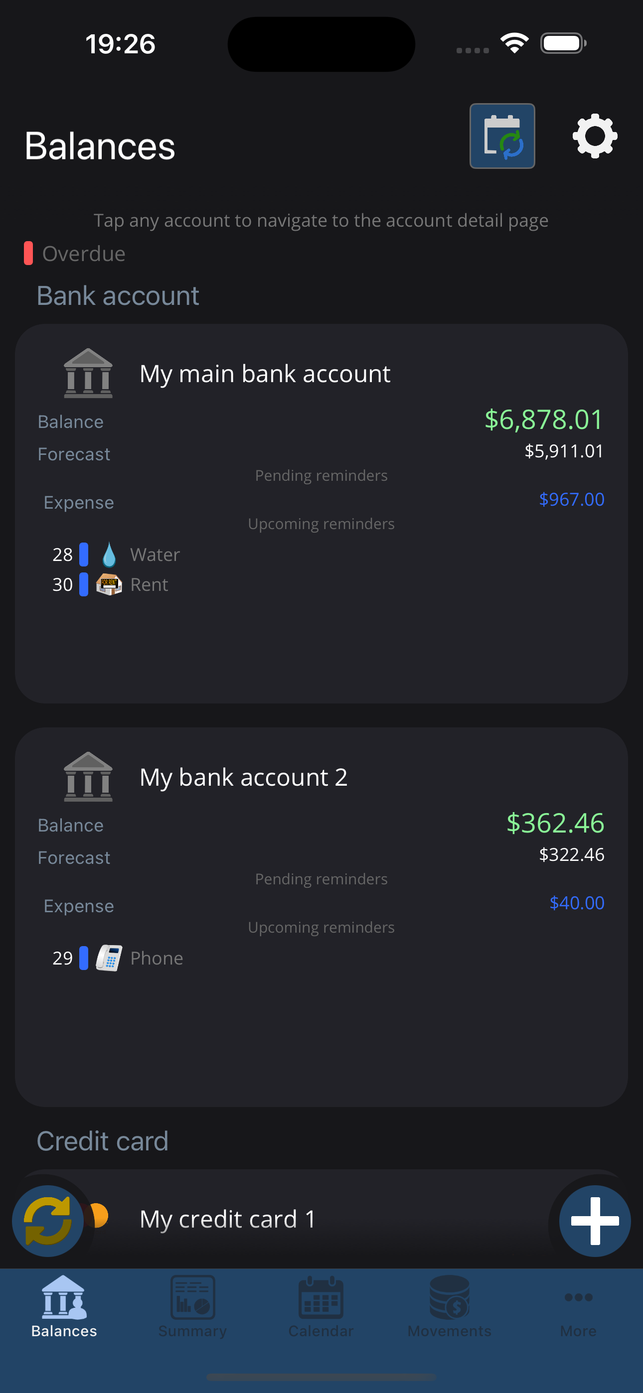 My Accounts and Expenses