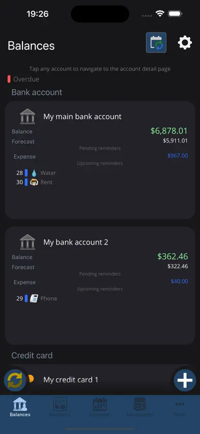 My Accounts and Expenses screenshot 1