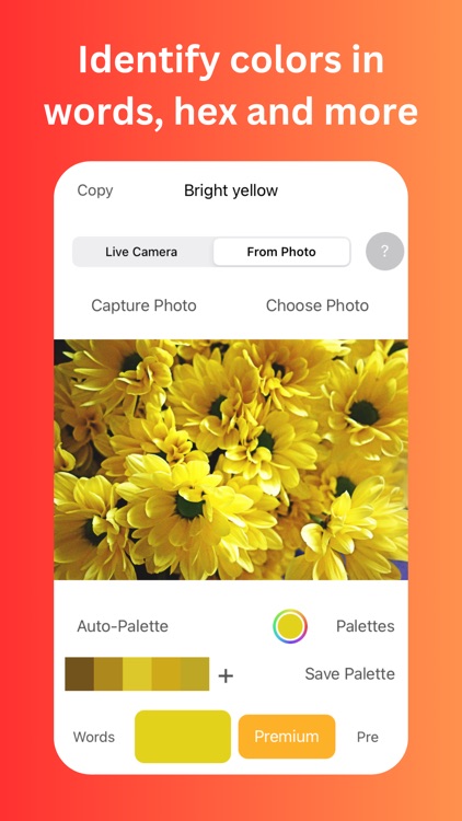 Color Identifier screenshot-3