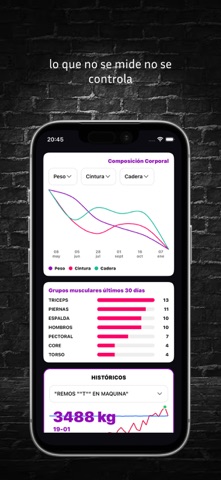 BOOST Plan-Track-Improve screenshot