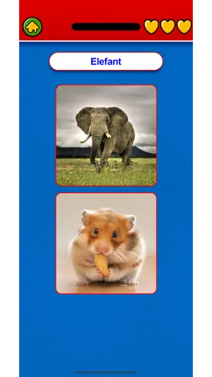 Game learn Catalan Flashcards screenshot 2