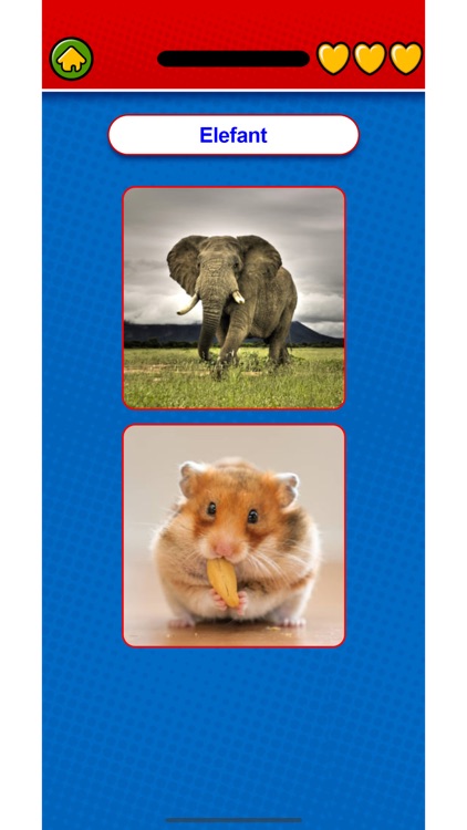 Game learn Catalan Flashcards