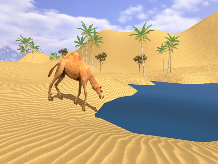 Camel Family Simulator Game