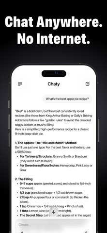 Chaty: Private Offline AI Chat Screenshot 1 of 6