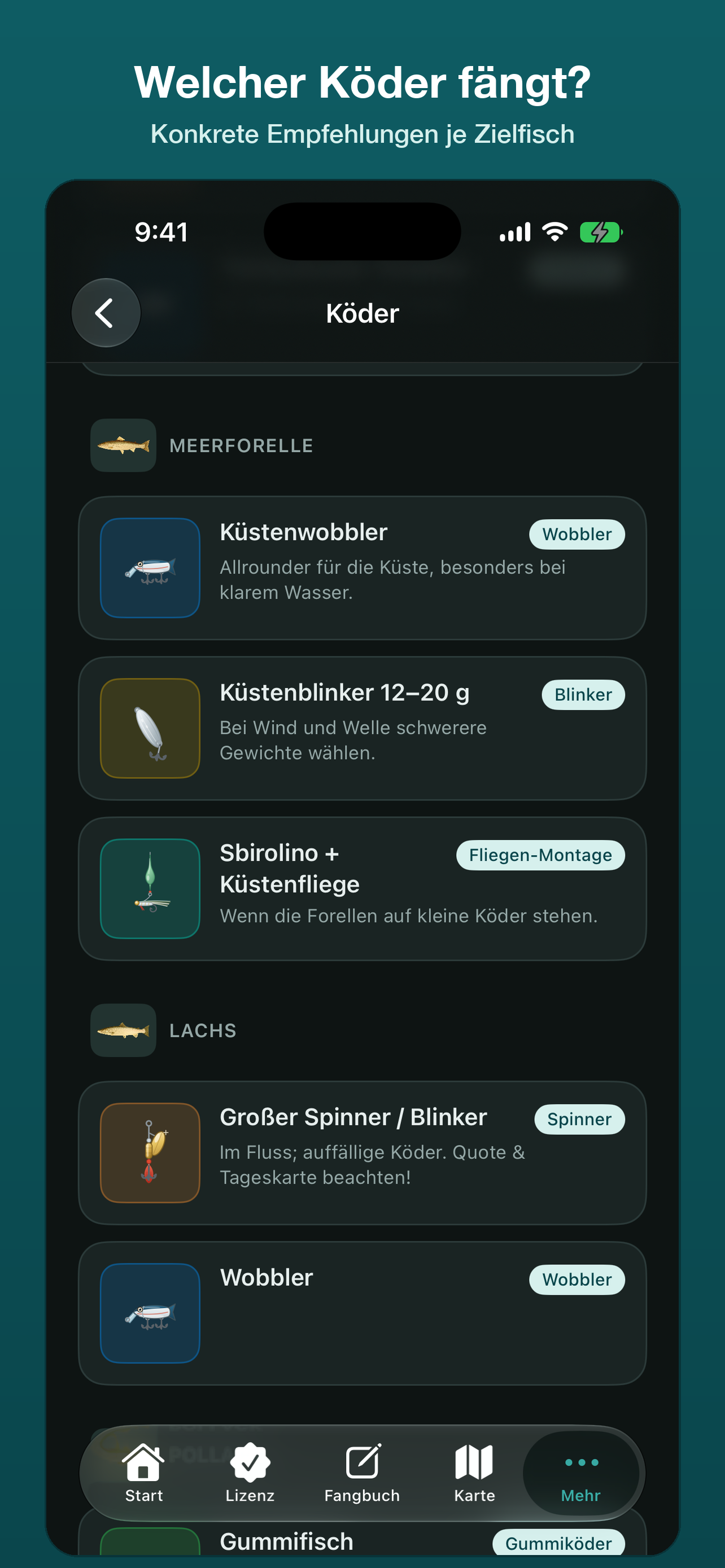 Angeln DK – Dänemark screenshot 8