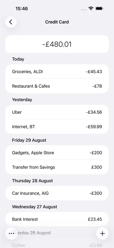 Debit & Credit screenshot 4 of 7