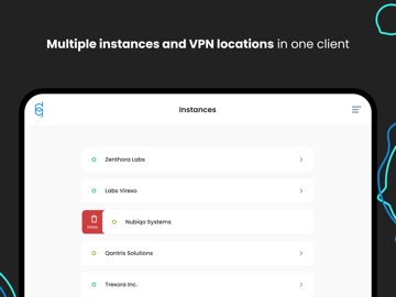 Defguard VPN Client iPad screenshot