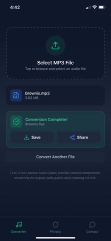 MP3 to FLAC Converter Screenshot 3 of 4