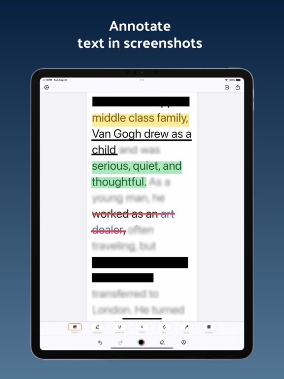 Whiteout - Redact & Blurrr iPad screenshot 2 - Photo & Video app