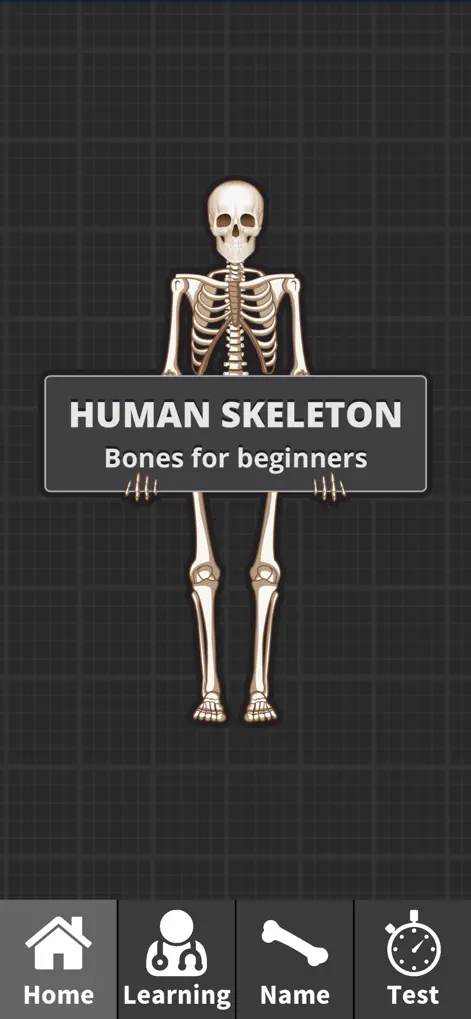 Human Skeleton: Beginner Bones - Education App | MWM