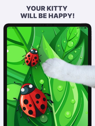 Games for Cats: Cat Fishing + iPad screenshot