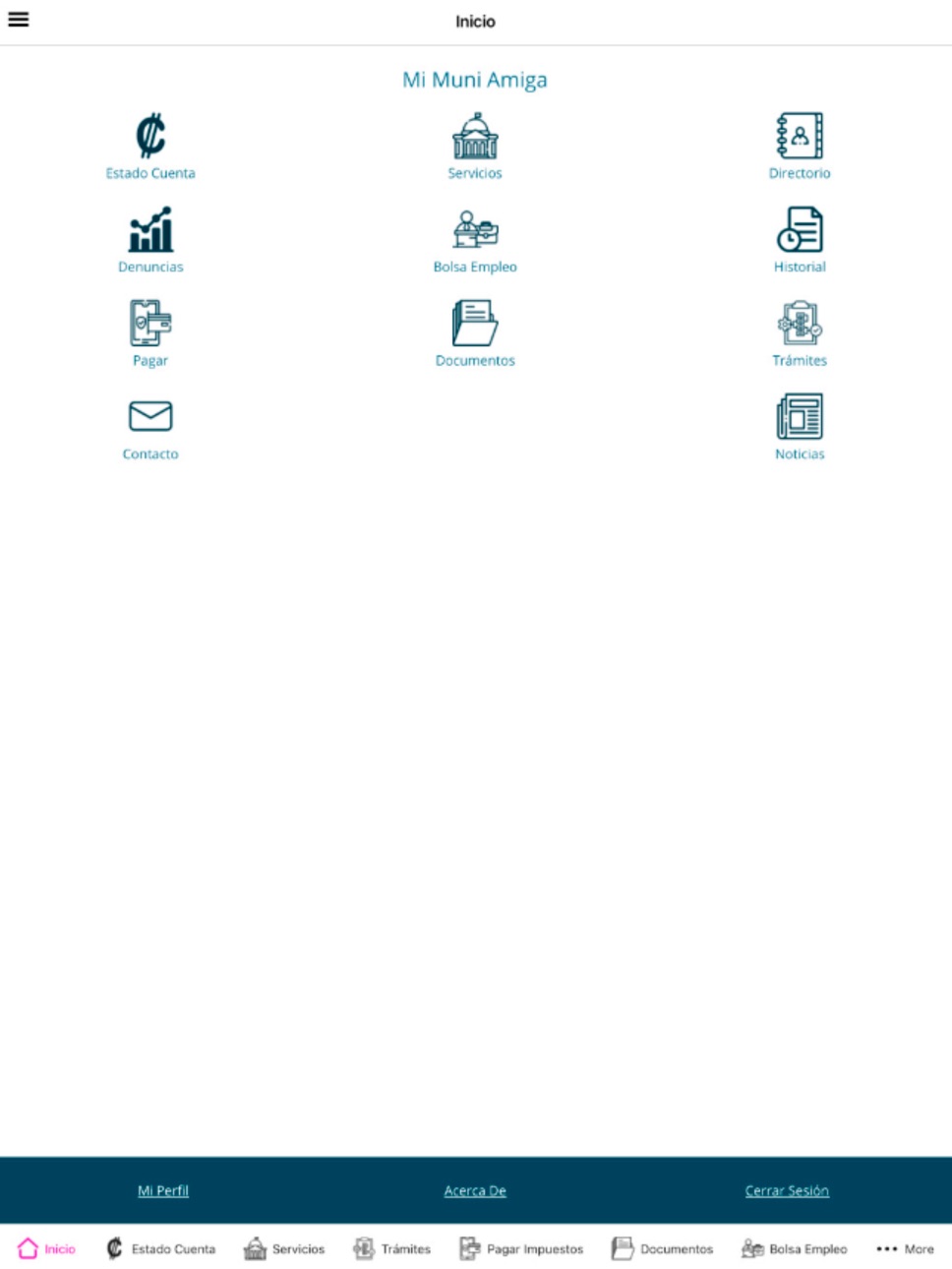 iPad screenshot