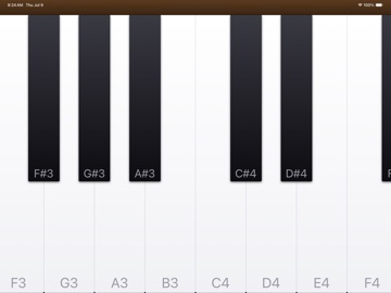AllyPiano iPad screenshot