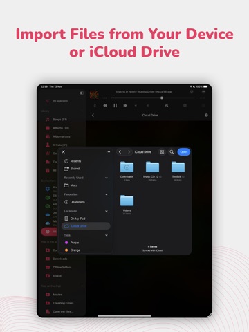 Evermusic Pro: music player iPad screenshot