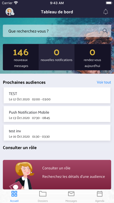 e-Barreau Screenshot