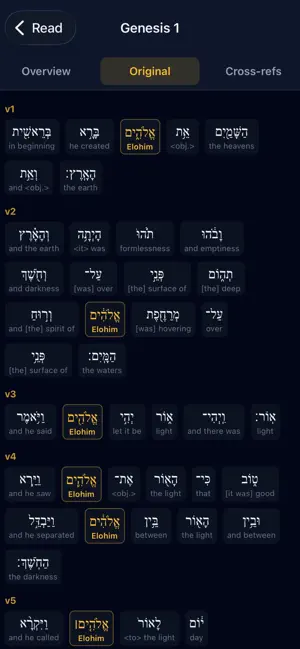 Bible Definition screenshot 2