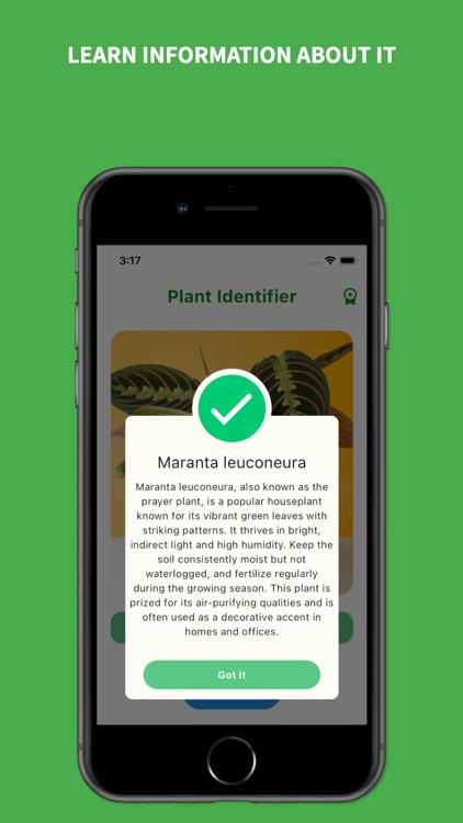Plant Identifier - Plant Care