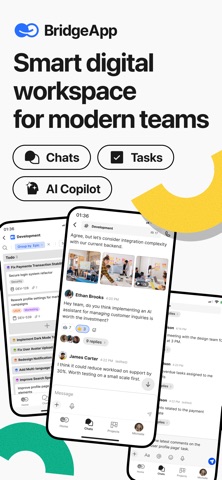 BridgeApp - Team Collaboration iPhone screenshot