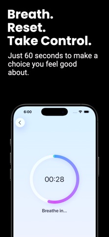 Impulse 60 screenshot