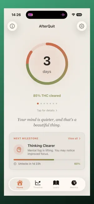 AfterQuit screenshot 4