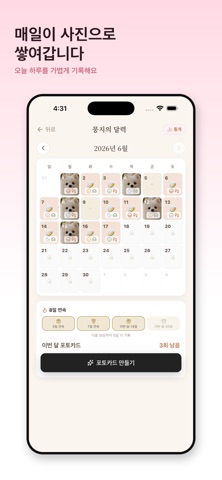 댕일력 screenshot