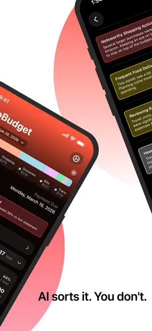 AI Spend Tracker: RetroBudget screenshot 2