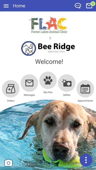 Bee Ridge Veterinary Clinic Screenshot