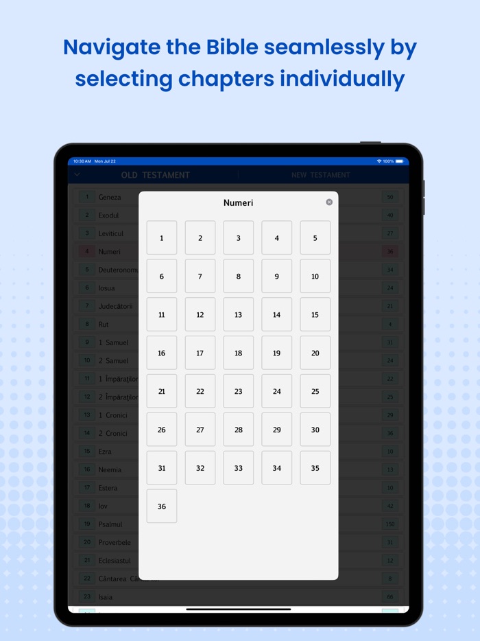 Biblia Cornilescu Romana Pro