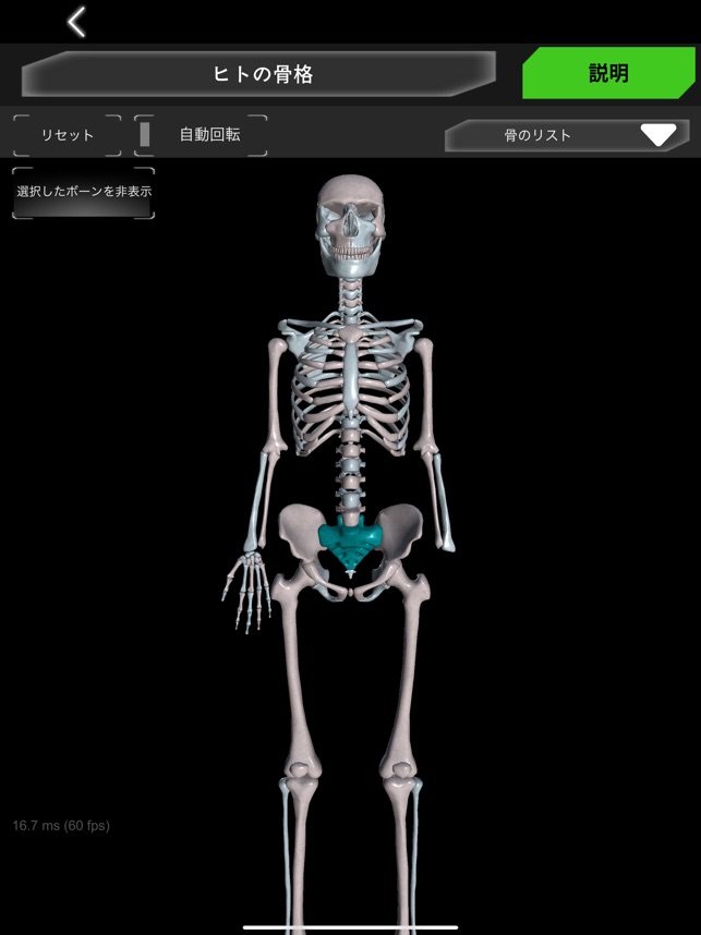 解剖モデル カエルの解剖モデル 動物の内臓モデル 解剖教育モデルツール 動物解剖モード カエルの解剖学的モデル - 動物の骨格モデル カエルの骨格教育モデル  デモンストレーションモデル 学校学生用教材ツール 解剖モデル カエルの解剖モデル 動物の内臓モデル 解剖教育 ... 4Dイルカ解剖モデル、動物教育デモンストレーション用臓器解剖学、取り外し可能な18パーツ、動物教育デモンストレーション科学研究解剖学