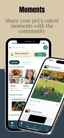 Pawnetwork: Smart Pet Care screenshot
